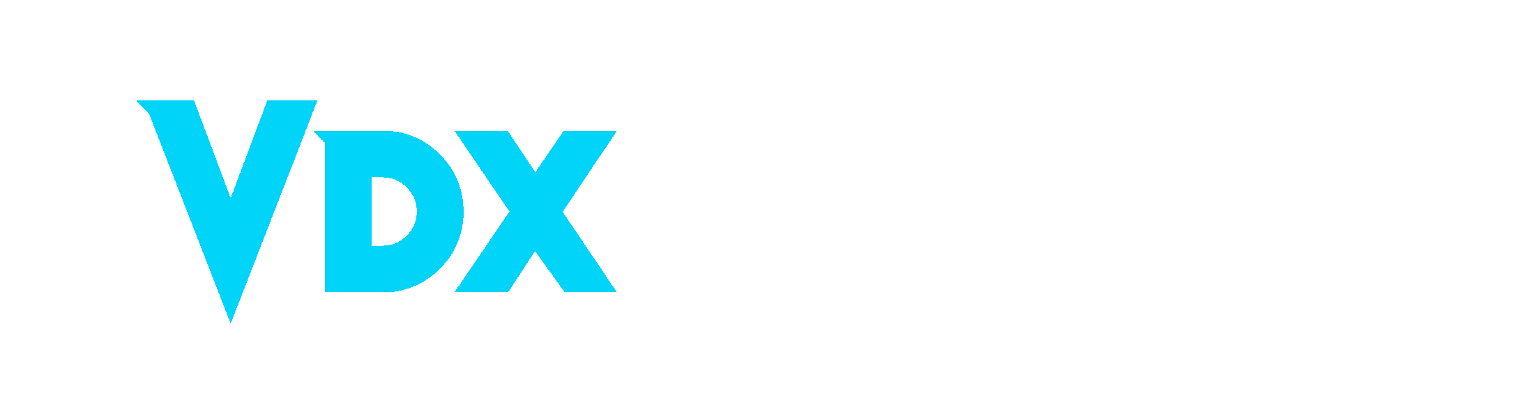 VDXVISION Logo